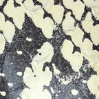 Pythia Snake — Limited Edition